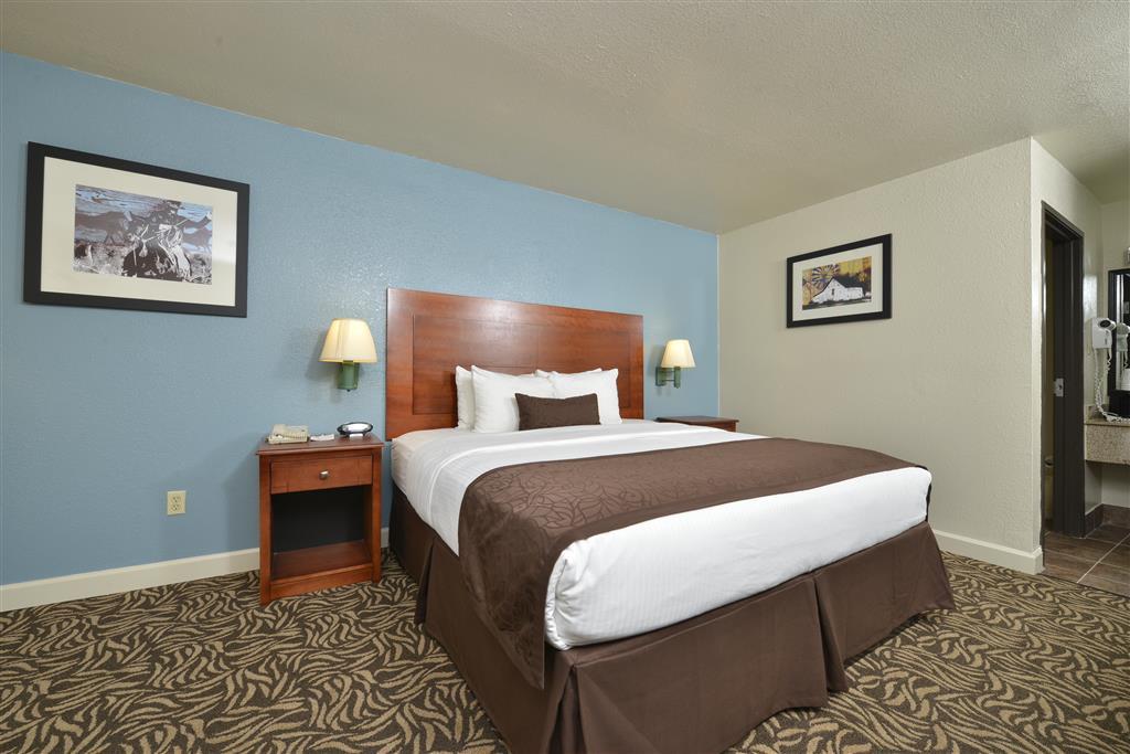 Best Western Regency Inn & Suites Gonzales Номер фото