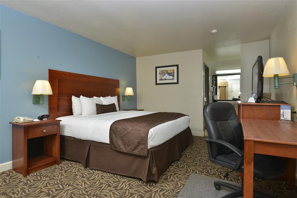 Best Western Regency Inn & Suites Gonzales Номер фото